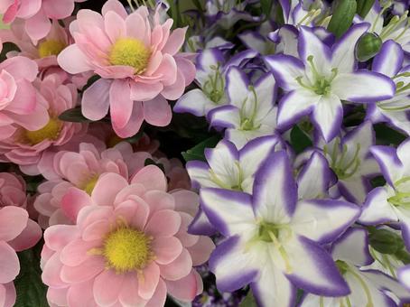 ユリ　花 花,園芸,ガーデニングの写真素材