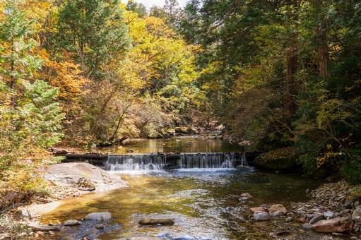 紅葉と川の写真