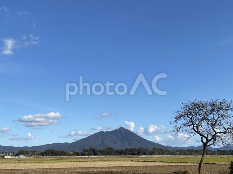 筑波山と柿の木 やすらぎ,筑波山,秋の写真素材