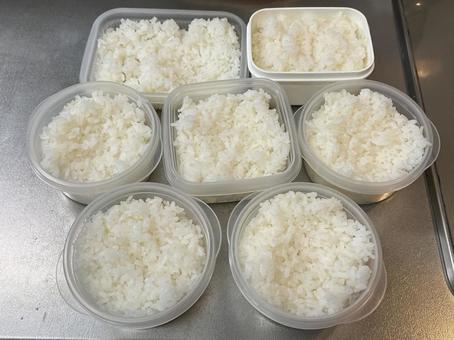 ごはん ごはん ごはん,白米,タッパーの写真素材
