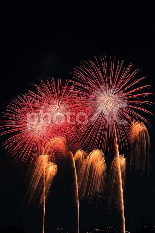 なにわ淀川花火大会2023 なにわ淀川花火大会,花火,2023の写真素材