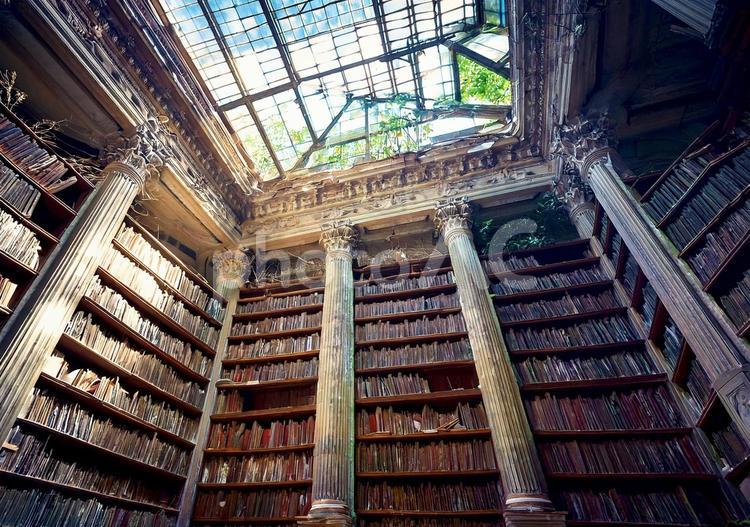 崩壊ガラス天井の古代図書館 図書館,遺跡,廃墟の写真素材
