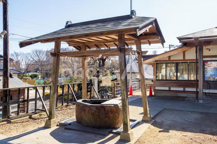 多賀神社⒆ 神社,多賀神社,神社仏閣の写真素材