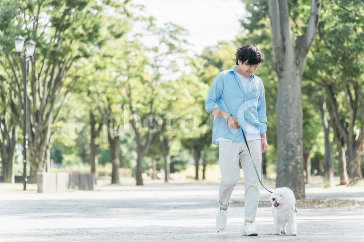 犬の散歩をする愛犬家の中高年男性・運動 犬,ペット,犬の散歩の写真素材