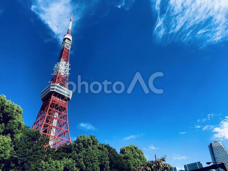 東京タワーのある風景 東京タワー,街並み,風景の写真素材