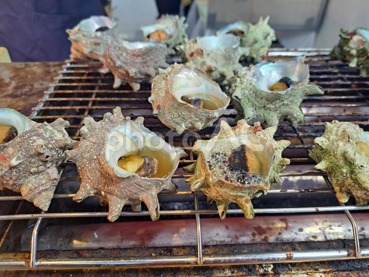 サザエ　浜焼き 海鮮,ビールフェス,イベントの写真素材