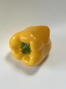 パプリカ黄色 パプリカ黄色 パプリカ,黄色,サラダの写真素材