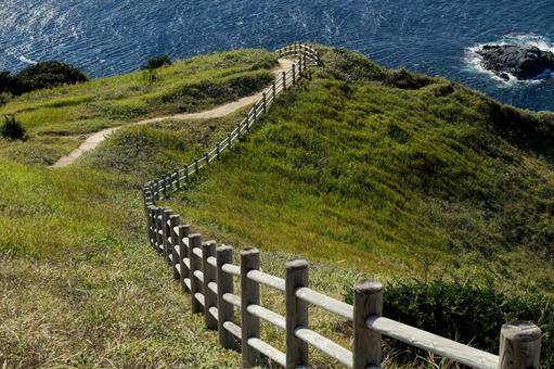高茂岬（愛媛県愛南町） 高茂岬,こうもみさき,愛媛県の写真素材