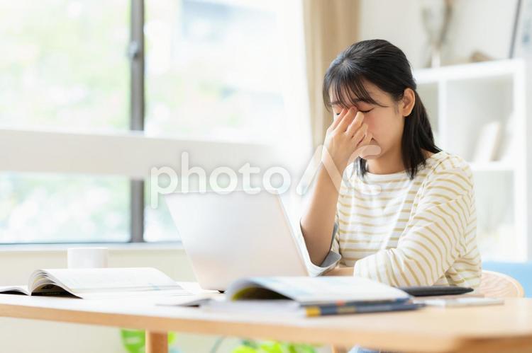 リビングで勉強をする大学生の女性 教育,勉強,女性の写真素材