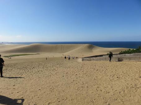 鳥取砂丘 鳥取砂丘 鳥取砂丘,馬の背,砂漠の写真素材