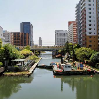 初夏の東京・新緑の木々の横十間川&街並み 初夏の東京・新緑の木々の横十間川&街並み 初夏,横十間川,江東区の写真素材