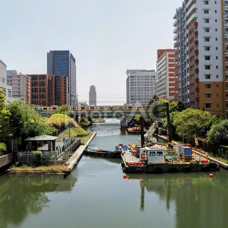 初夏の東京・新緑の木々の横十間川＆街並み 初夏,横十間川,江東区の写真素材