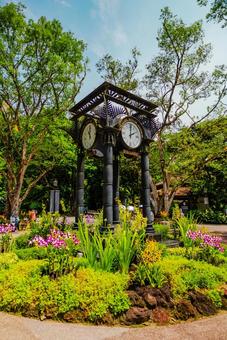 【シンガポール】植物園オーキッドガーデン ナショナル,オーキッドガーデン,ガーデンの写真素材