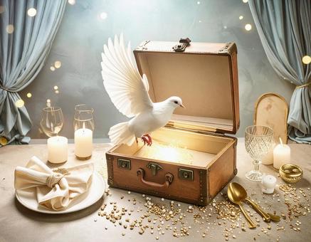 鳩とトランクの魔法 鳩とトランクの魔法の写真