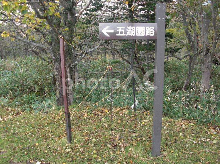 知床五湖　園路案内表示 知床五湖,園路,看板の写真素材