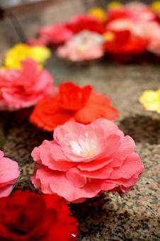 石の器に浮かぶ色とりどりの花たち 石の器に浮かぶ色とりどりの花たちの写真
