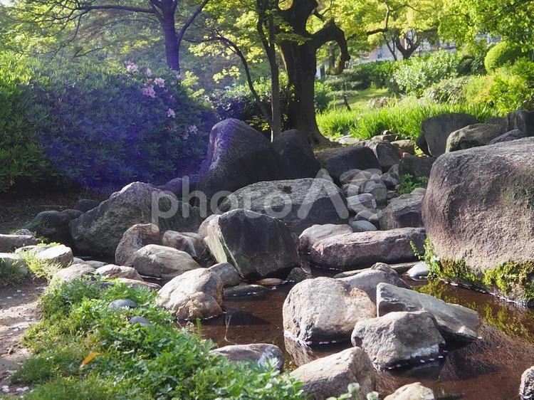 川のある風景 自然,岩,川の写真素材