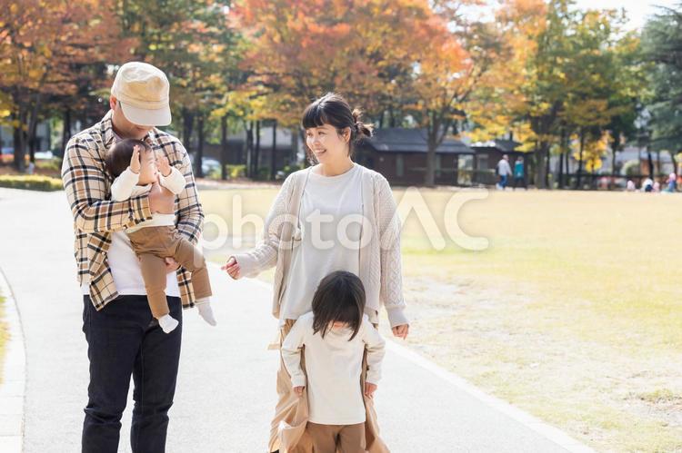秋の公園で遊ぶ家族・ファミリー 家族,子供,ファミリーの写真素材