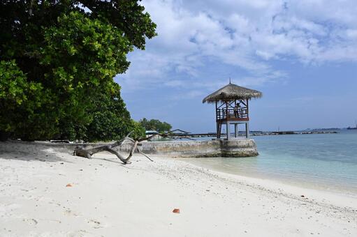 モルディブのビリンギリのビーチの風景 モルディブ,モルジブ,風景の写真素材