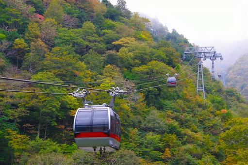 【紅葉】絶景の中を走るロープウェイ 秋,谷川岳,ブナ林の写真素材
