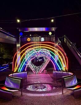 西部緑道イルミネーション　福井県 西部緑道イルミネーション,福井県,公園の写真素材