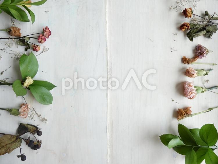 白板と左右に並ぶドライフラワーA 花,フレーム,ドライフラワーの写真素材