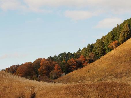 のどかな空と重なる丘（11月下旬） きつね色,自然,風景の写真素材