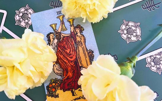 Tarot CUSPS III and Yellow Carnation, JPG