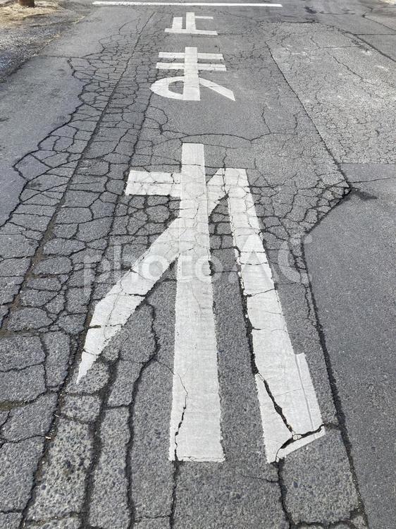 道路の止まれの表記 道路,止まれ,アスファルトの写真素材
