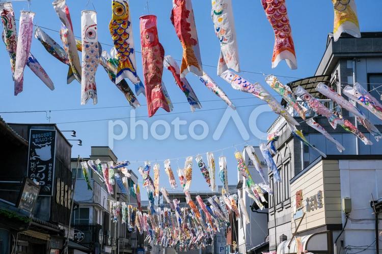川越  大正浪漫夢通りの鯉のぼり 鯉のぼり,こどもの日,5月の写真素材