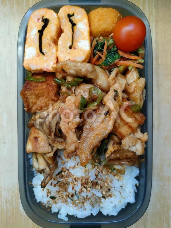 豚こま厚揚げコチュジャン炒めのお弁当！ お弁当,お昼,お昼ごはんの写真素材