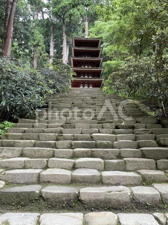 室生寺・奈良県・五重塔 室生寺,五重塔,石段の写真素材