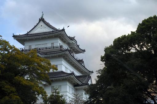 夕闇の小田原城 小田原城,城郭,天守閣の写真素材