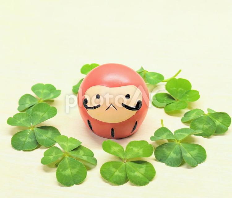 合格祈願のダルマと四つ葉のクローバー 合格祈願,四つ葉,クローバーの写真素材