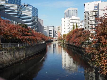 秋の大崎付近 大崎付近,目黒川,空の写真素材