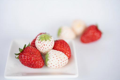 Photo, strawberry, white, pearl white, 