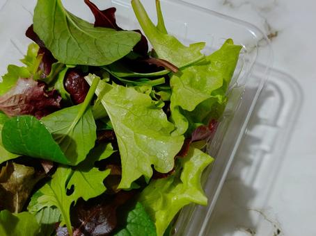 ベビーリーフパック入り ベビーリーフ,サラダ,レタスの写真素材