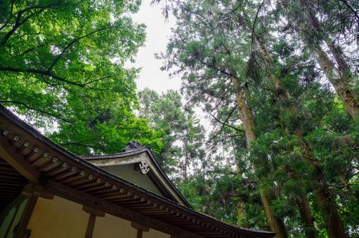 山居澤大聖不動尊⒄ 山居澤大聖不動尊⒄ 不動尊,山居澤大聖不動尊,寺の写真素材
