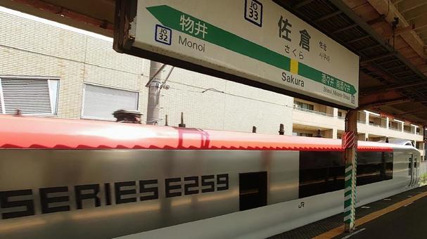 JR佐倉駅 NEX E259系 佐倉市 JR佐倉駅 NEX E259系 佐倉市の写真