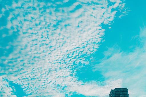 青空 青空の写真