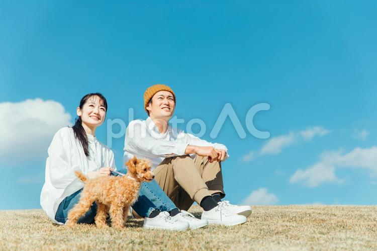 愛犬と遊ぶ男女 犬,夫婦,ペットの写真素材