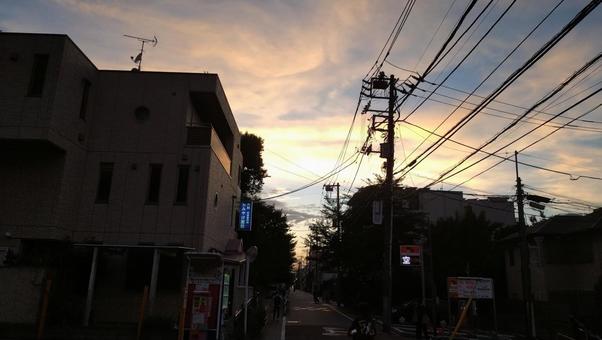 夕焼けの駒込染井通り 夕焼け,駒込,東京の写真素材