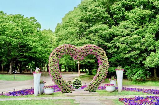 ハート型の花アーチと新緑の公園風景 ハート型の花アーチと新緑の公園風景 花,空,アーチの写真素材