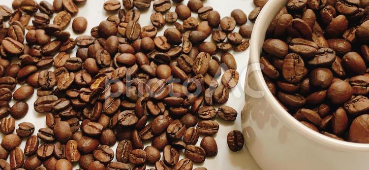 コーヒー豆　珈琲　イメージ　背景6 コーヒー,ブラジル,ジャマイカの写真素材