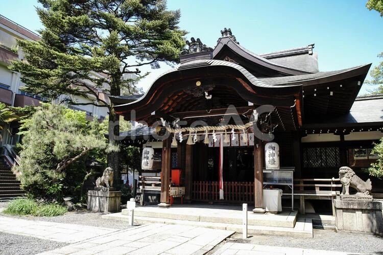 熊野神社の風景 京都,日本,アジアの写真素材