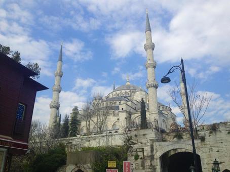 ブルーモスク ブルーモスクの写真