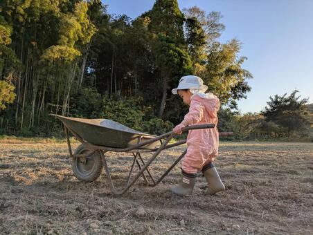 はじめての猫車操作 猫車,ねこ車,一輪車の写真素材