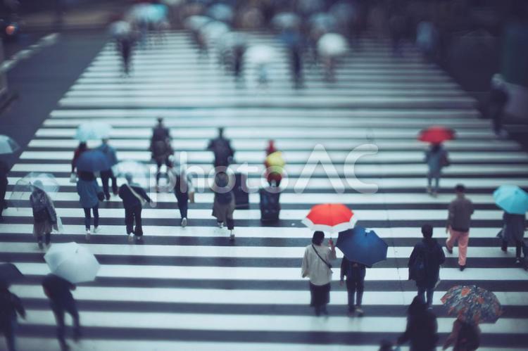 雨の日の運転 ぼかし風景 背景,ビジネス,雨の写真素材