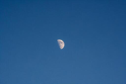 青空に浮かぶ月 月,半月,青空の写真素材