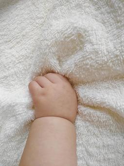 赤ちゃん（7ヶ月）の手 赤ちゃん,ボディパーツ,手の写真素材